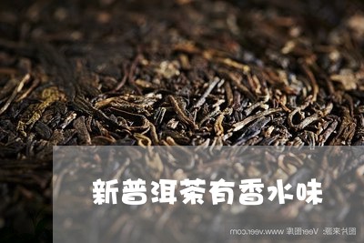 新普洱茶有香水味/2023033134380