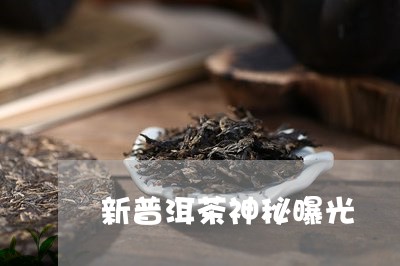 新普洱茶神秘曝光/2023041015147