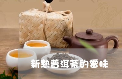 新熟普洱茶的霉味/2023040175170