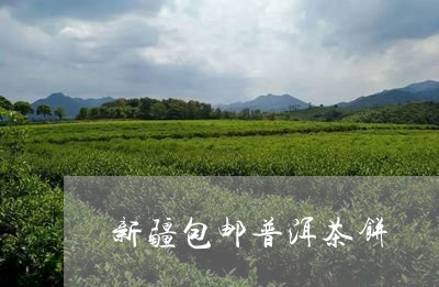 新疆包邮普洱茶饼/2023041358181