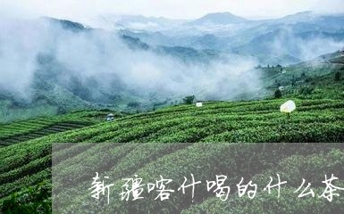 新疆喀什喝的什么茶/2023031906289