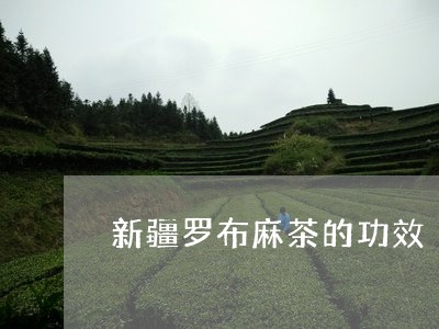 新疆罗布麻茶的功效/2023032170713