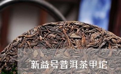 新益号普洱茶甲坨/2023033175247