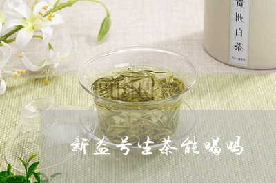 新益号生茶能喝吗/2023032574606