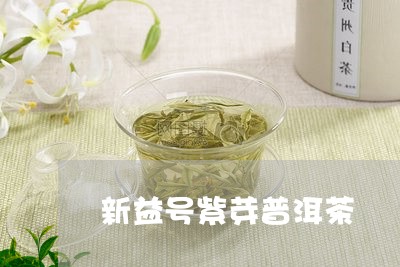 新益号紫芽普洱茶/2023033100695