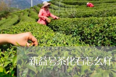 新益号茶化石怎么样/2023041689937