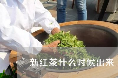 新红茶什么时候出来/2023031851625