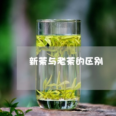 新茶与老茶的区别/2023032523837