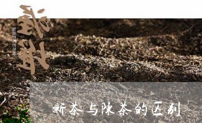 新茶与陈茶的区别/2023032553938