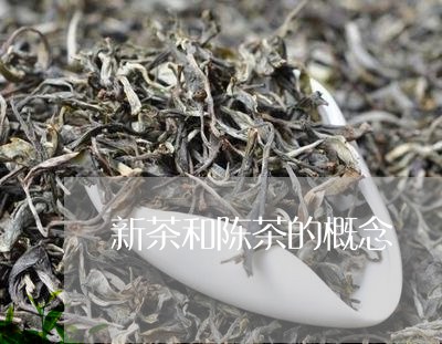 新茶和陈茶的概念/2023032441845