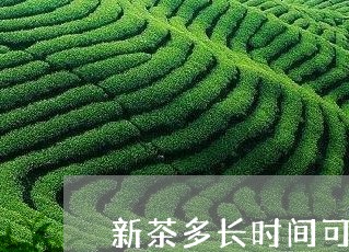 新茶多长时间可以喝/2023031984836