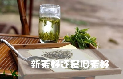 新茶好还是旧茶好/2023031842515