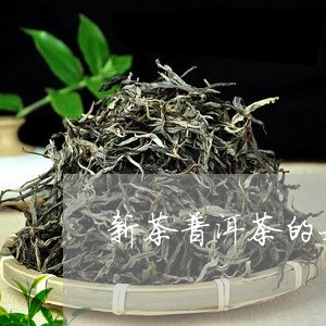 新茶普洱茶的好处/2023040925958