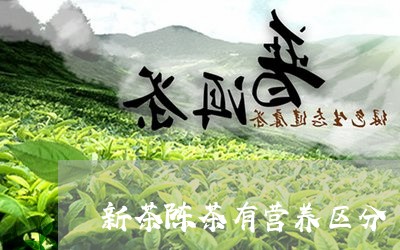 新茶陈茶有营养区分/2023031940493