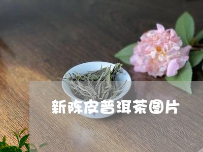 新陈皮普洱茶图片/2023041222725