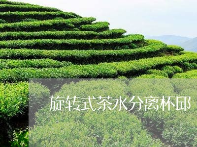 旋转式茶水分离杯邱/2023041508515