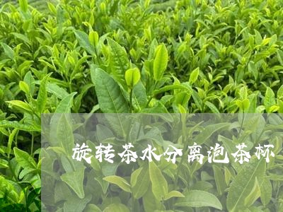 旋转茶水分离泡茶杯/2023041638372