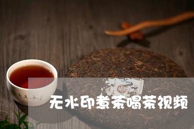 无水印煮茶喝茶视频/2023032007793