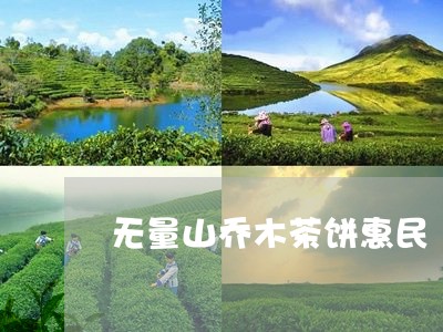 无量山乔木茶饼惠民/2023041679370