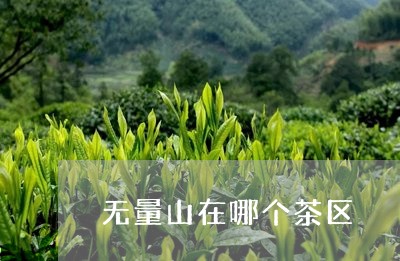 无量山在哪个茶区/2023032430502