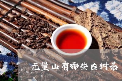 无量山有哪些古树茶/2023032175068