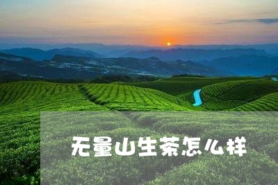 无量山生茶怎么样/2023032594048