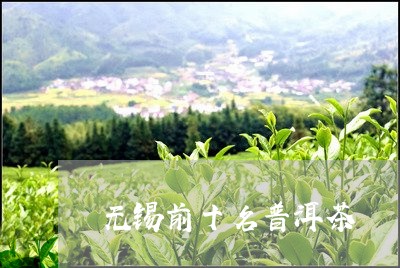 无锡前十名普洱茶/2023033022714