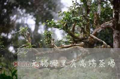 无锡哪里有高端茶喝/2023041553926