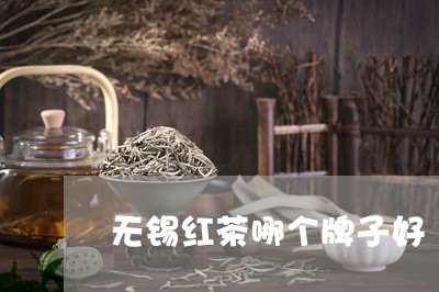 无锡红茶哪个牌子好/2023031821593