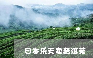 日本乐天卖普洱茶/2023041057268