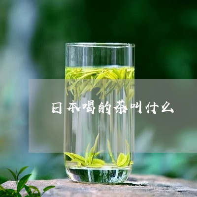 日本喝的茶叫什么/2023032219472