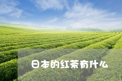 日本的红茶有什么/2023032292816