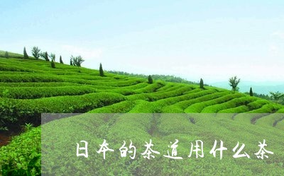 日本的茶道用什么茶/2023041674147