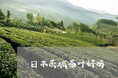 日本茨城茶叶好吗/2023032507481