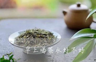 早上喝茶水好不好/2023032491494