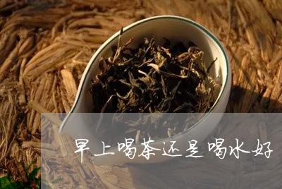 早上喝茶还是喝水好/2023041624248