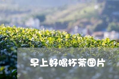 早上好喝杯茶图片/2023032265158