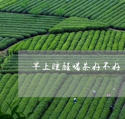 早上睡醒喝茶好不好/2023032024726