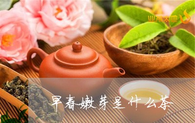 早春嫩芽是什么茶/2023032387581