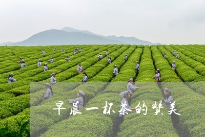 早晨一杯茶的赞美/2023032461493