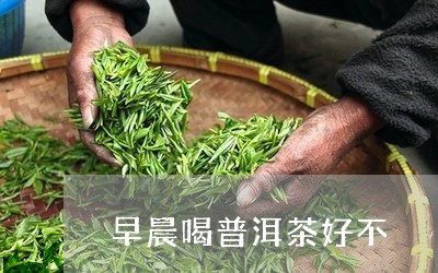 早晨喝普洱茶好不/2023031650593