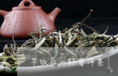 早饭后一杯普洱茶/2023033096471