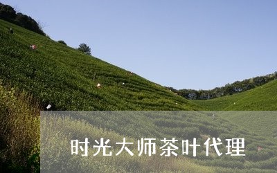 时光大师茶叶代理/2023032666171