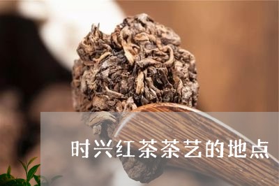 时兴红茶茶艺的地点/2023031978593