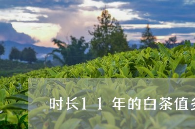 时长11年的白茶值多少钱/2023033012037