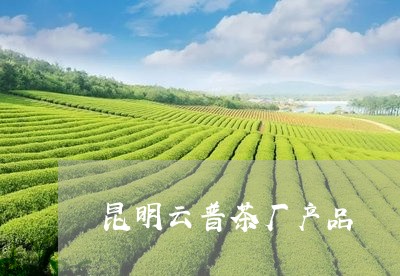 昆明云普茶厂产品/2023032594815