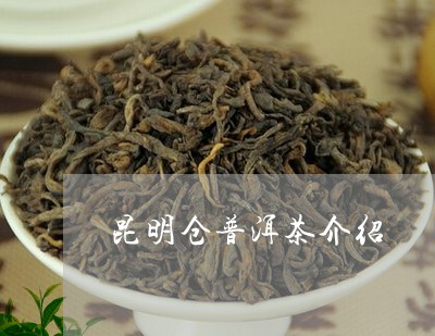 昆明仓普洱茶介绍/2023041382815