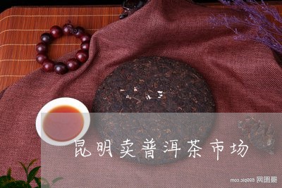 昆明卖普洱茶市场/2023041316360