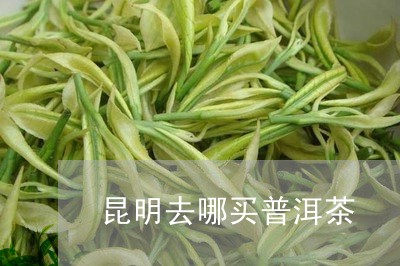 昆明去哪买普洱茶/2023031745048