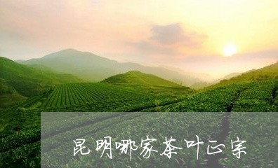 昆明哪家茶叶正宗/2023032592706